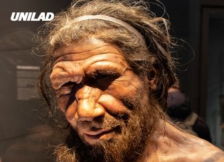 Scientists claim Neanderthals never truly went extinct because of one shocking reason