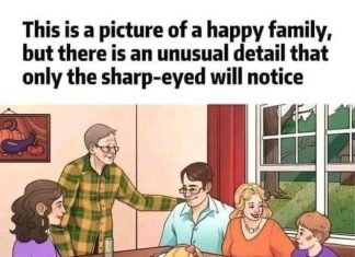 BRAIN TEASER: CAN YOU SPOT THE INACCURACY IN THIS FAMILY’S DINING ROOM SHOT IN UNDER 15 SECONDS?