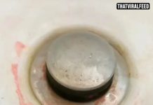 Doctor Issues Urgent Warning To Anyone Finding ‘Pink Slime’ In Their Bathroom