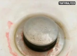 Doctor Issues Urgent Warning To Anyone Finding ‘Pink Slime’ In Their Bathroom