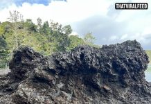 People Are Losing It After Mom Says ‘Find My Daughter’ In Scenic Rock Photo