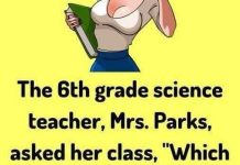 CLASSROOM GENIUS: YOUNG GIRL’S NAUGHTY ANSWERS PROMPT HER TEACHER’S BRILLIANT, QUICK-WITTED COMEBACK