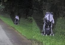 WOMAN SHARES CHILLING WARNING AFTER DISCOVERING AN ABANDONED STROLLER BY THE ROAD