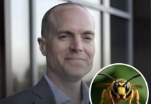 Principal, 47, and his 15-year-old son stung to death by hornets – authorities release terrifying details