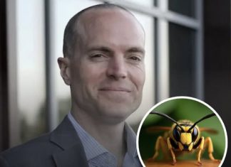 Principal, 47, and his 15-year-old son stung to death by hornets – authorities release terrifying details