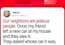 10+ EXTRAVAGANT NEIGHBOURS WHO MAKE EVERYDAY EXTRAORDINARY
