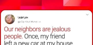 10+ EXTRAVAGANT NEIGHBOURS WHO MAKE EVERYDAY EXTRAORDINARY