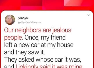 10+ EXTRAVAGANT NEIGHBOURS WHO MAKE EVERYDAY EXTRAORDINARY