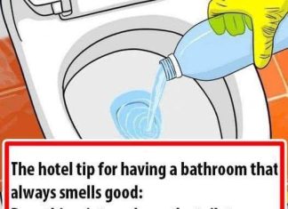 8 EASY TIPS TO KEEP YOUR BATHROOM SMELLING FRESH ALL DAY