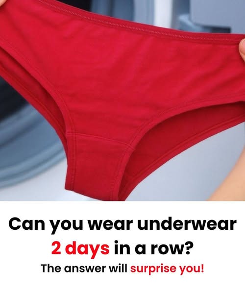 underwear