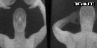 People Shocked To Learn What Airport Security Used To See Through Old X-Ray Scanners