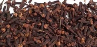 I Chew Cloves And Say Goodbye to 10 Years of Diabetes.. I’ll Give You The Recipe