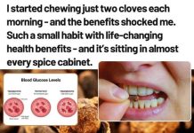 THE COMPLETE GUIDE TO CLOVES: HEALTH BENEFITS & EVERYDAY USES