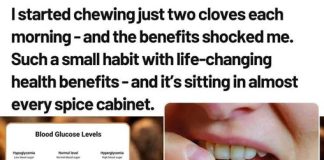 THE COMPLETE GUIDE TO CLOVES: HEALTH BENEFITS & EVERYDAY USES