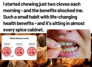 THE COMPLETE GUIDE TO CLOVES: HEALTH BENEFITS & EVERYDAY USES
