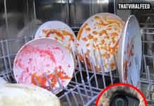 Man Issues Warning After Putting Camera In Dishwasher To See What Happens Inside And Uncovering Disturbing Truth