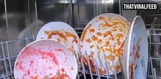 Man Issues Warning After Putting Camera In Dishwasher To See What Happens Inside And Uncovering Disturbing Truth
