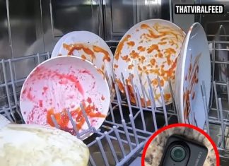 Man Issues Warning After Putting Camera In Dishwasher To See What Happens Inside And Uncovering Disturbing Truth