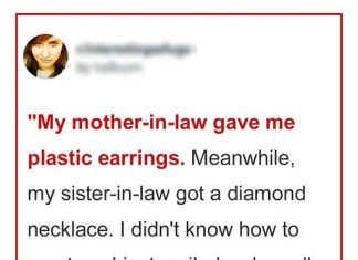 MY MOTHER-IN-LAW GAVE ME PLASTIC EARRINGS, AND MY SISTER-IN-LAW RECEIVED A DIAMOND NECKLACE.