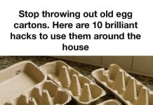 Stop throwing out old egg cartons. Here are 10 brilliant hacks to use them around the house