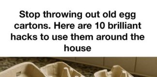 Stop throwing out old egg cartons. Here are 10 brilliant hacks to use them around the house
