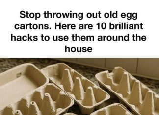 Stop throwing out old egg cartons. Here are 10 brilliant hacks to use them around the house