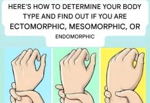 Are you an ectomorph, mesomorph, or endomorph? Discover your body type and how to make the most of it.