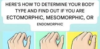 Are you an ectomorph, mesomorph, or endomorph? Discover your body type and how to make the most of it.
