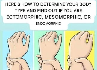 Are you an ectomorph, mesomorph, or endomorph? Discover your body type and how to make the most of it.