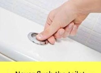 Why Is It Extremely Important Not to Flush the Toilet After Every Urination?