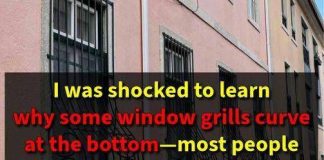THE SURPRISING REASON SOME WINDOW GRILLS CURVE AT THE BOTTOM — I WAS SHOCKED!