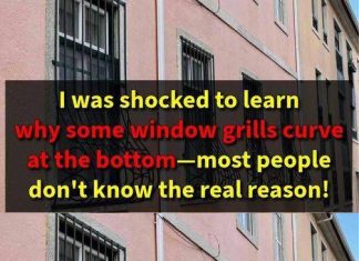 THE SURPRISING REASON SOME WINDOW GRILLS CURVE AT THE BOTTOM — I WAS SHOCKED!