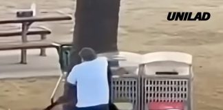 Over $1 million raised for ‘hero’ bystander who tackled alleged Bondi Beach gunman during terror attack