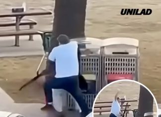 Over $1 million raised for ‘hero’ bystander who tackled alleged Bondi Beach gunman during terror attack