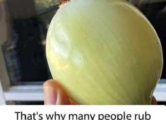 Why You Should Start Rubbing Onion on Your Windows