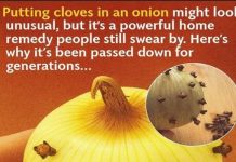 WHY SOME FAMILIES PLACE CLOVES IN AN ONION (A LOOK AT THIS TRADITIONAL KITCHEN PRACTICE)