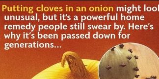WHY SOME FAMILIES PLACE CLOVES IN AN ONION (A LOOK AT THIS TRADITIONAL KITCHEN PRACTICE)