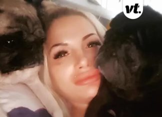 Woman found dead in her home after being eaten by pet pugs