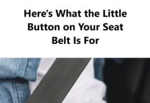THE SURPRISING PURPOSE OF THE SMALL PLASTIC BUTTON ON YOUR SEAT BELT (WHY IT IS ACTUALLY ESSENTIAL)