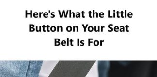 THE SURPRISING PURPOSE OF THE SMALL PLASTIC BUTTON ON YOUR SEAT BELT (WHY IT IS ACTUALLY ESSENTIAL)