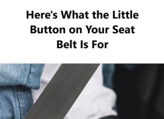 THE SURPRISING PURPOSE OF THE SMALL PLASTIC BUTTON ON YOUR SEAT BELT (WHY IT IS ACTUALLY ESSENTIAL)