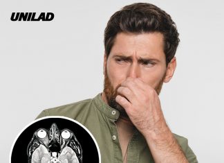 New study explains why ‘sniffing your own farts’ could improve brain power and decrease chances of Alzheimer’s