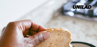 Five things you should never put in a toaster as hidden dangers explained