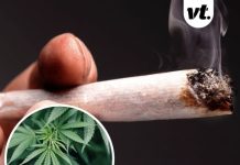 What is ‘scromiting’? US citizens warned about horrifying side effect of cannabis use amid rise in ER visits