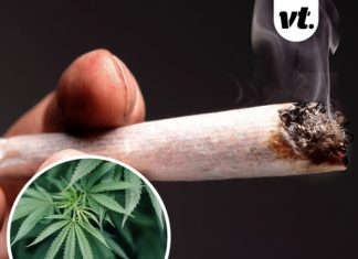 What is ‘scromiting’? US citizens warned about horrifying side effect of cannabis use amid rise in ER visits