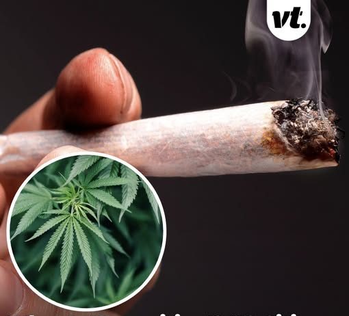 What is ‘scromiting’? US citizens warned about horrifying side effect of cannabis use amid rise in ER visits