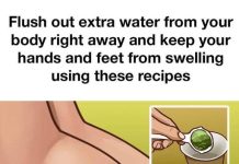 Love these recipe ideas