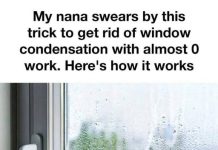 I can’t believe I didn’t think of this