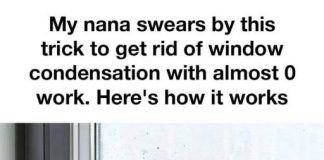 I can’t believe I didn’t think of this