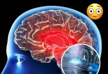 4 WARNING SIGNS YOUR BRAIN MAY BE AT RISK — ALZHEIMER’S CAN BEGIN YEARS BEFORE YOU NOTICE